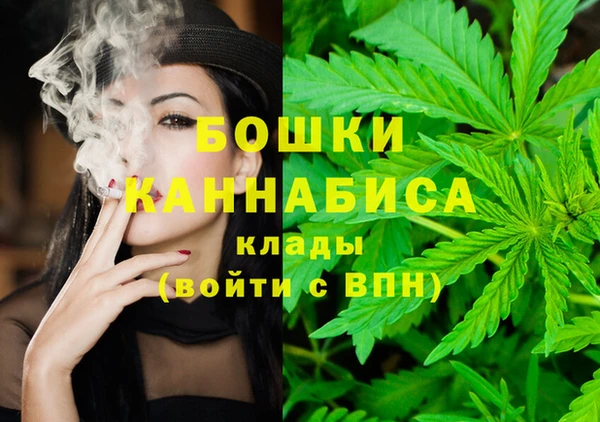 гашик Вязники