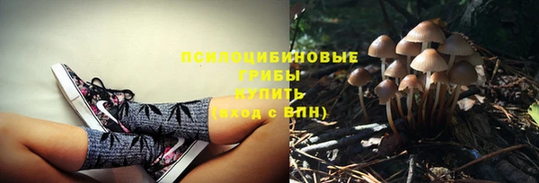 гашик Вязники
